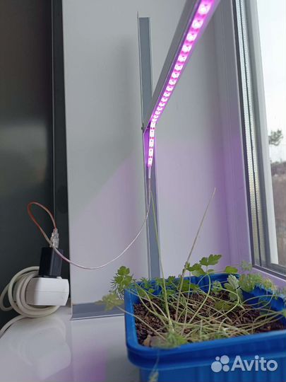 Подставка для фитоленты