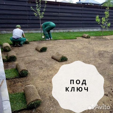 Рулонный газон от производителя Венюково