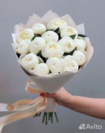 Пионы Цветы Доставка