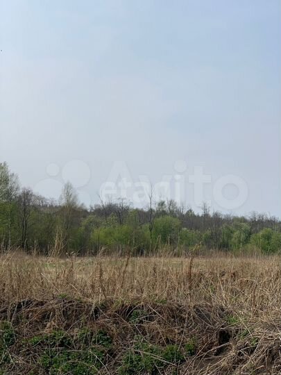 Участок 6,7 сот. (ИЖС)