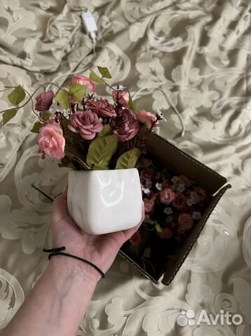 Декоративные цветы