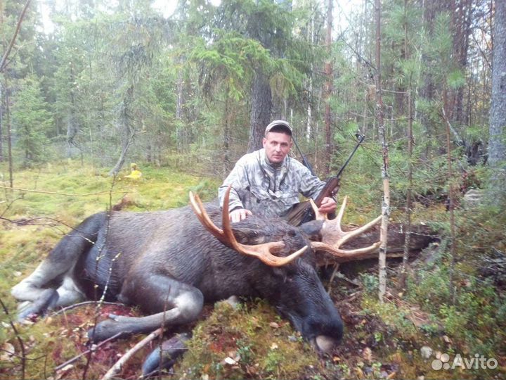 Продаются Охотничьи угодья 300 тысяч гектаров