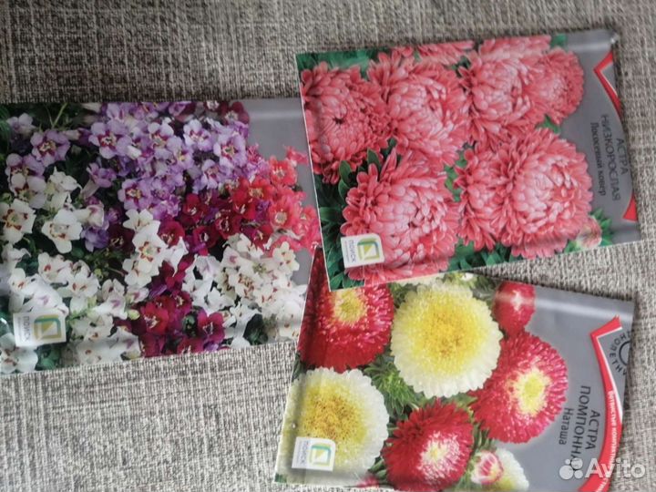 Рассада однолетних цветов