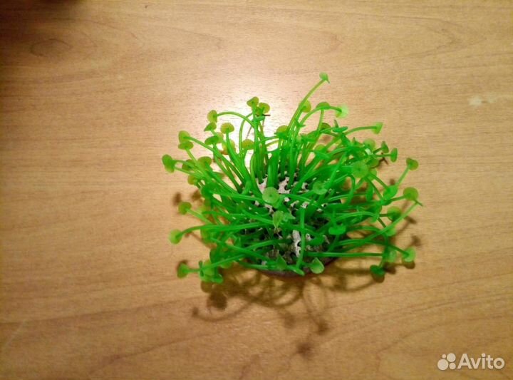 Аксесуары для аквариума