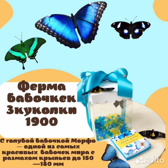 Детская мини ферма бабочек