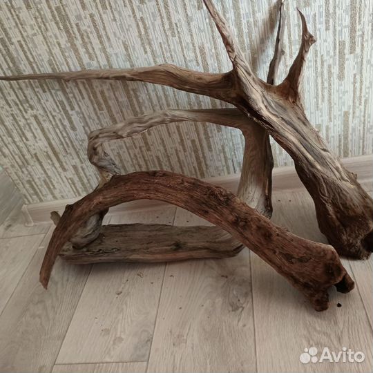 Мантровые коряги для аквариума