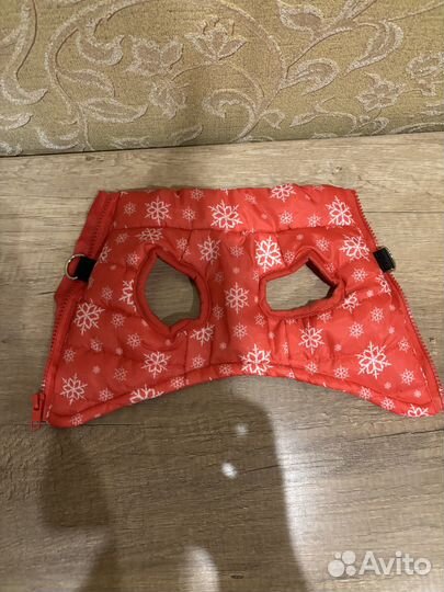 Жилет для маленькой собачки