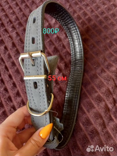 Ошейники, поводки