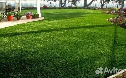 Газон рулонный