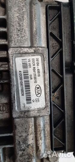 391044x910 kia carnival