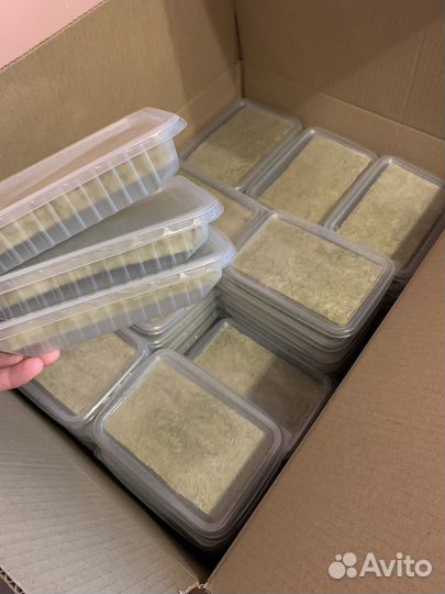 Набор для выращивания микрозелени