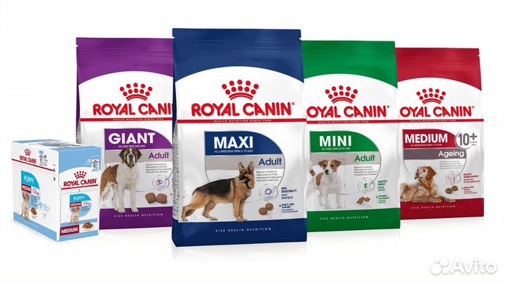 Royal canin сухой и влажный корм (Роял канин)