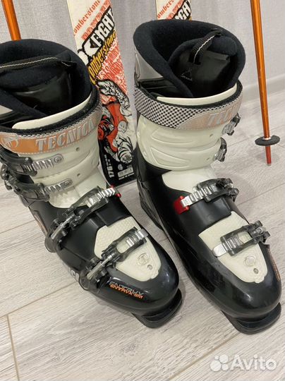 Горные лыжи