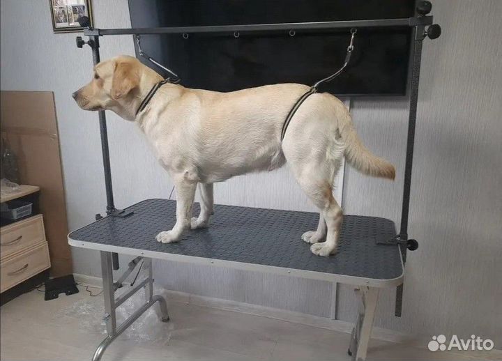 Стол для груминга 120 х 60 см