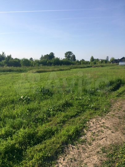 Участок 11 сот. (СНТ, ДНП)