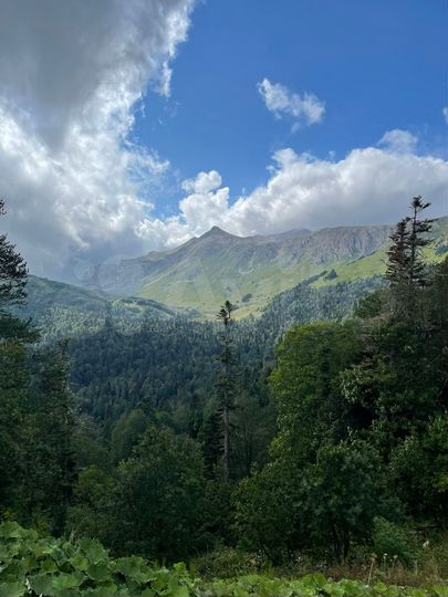 Участок 27,5 сот. (ИЖС)