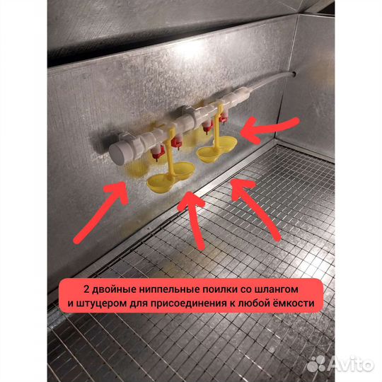 Брудер на 50-70 суточных цыплят