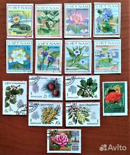 Марки. Растения. 15 марок 1971-1980 годов