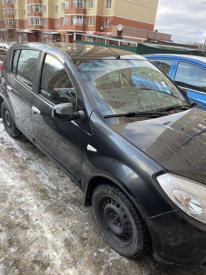 Renault Sandero: фото владельца