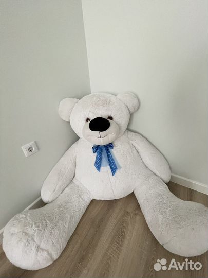 Плюшевый медведь