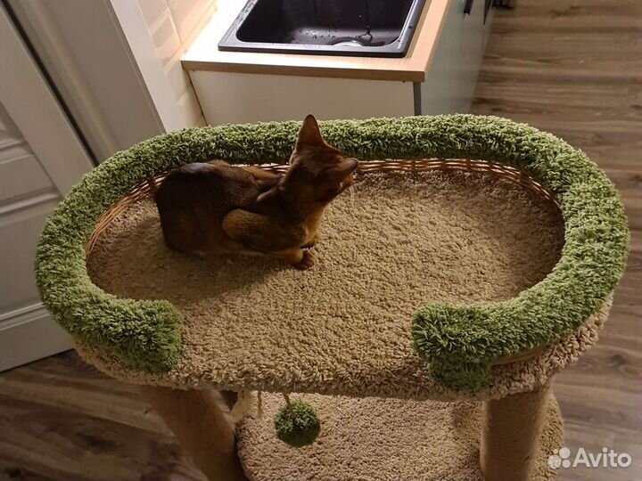 Домик для кошки