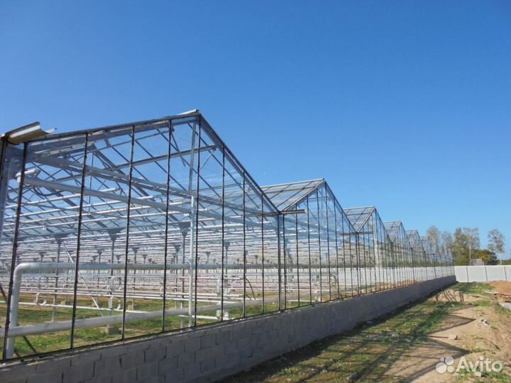 Теплицы Антрацит и Венло строим под ключ