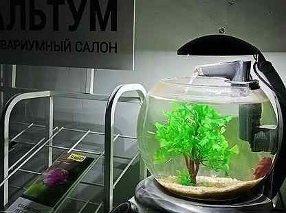изготовление аквариумов на заказ в новосибирске