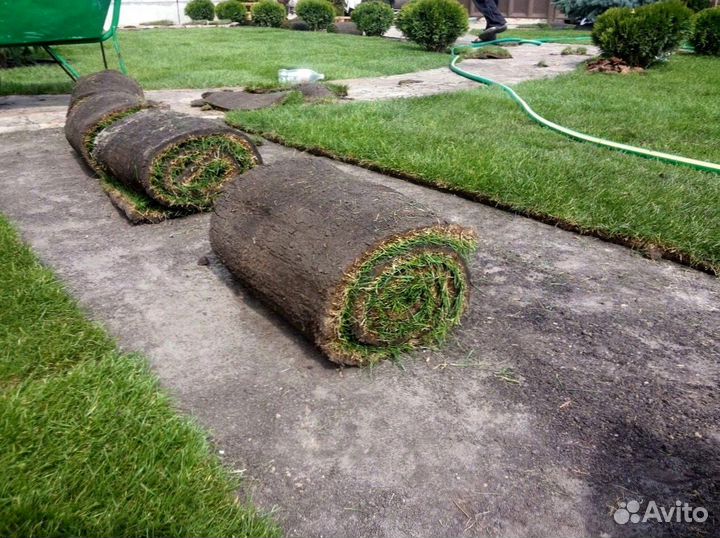 Укладка рулонных газонов ключ