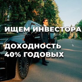 Ищу инвесторов, авто залог, до 40% годовых