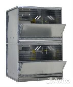 Домашняя Ферма для бройлеров с брудером