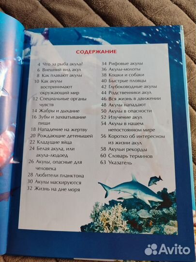 Букварь надежда жукова