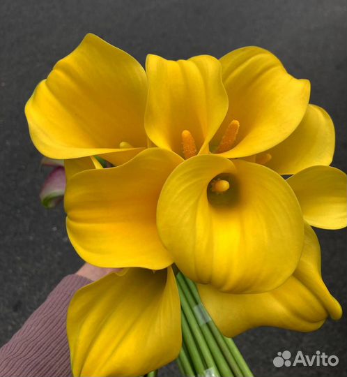 Каллы Букет цветные розовые жёлтые вишнёвые