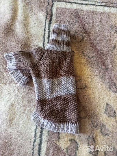 Вещи для маленькой собачки