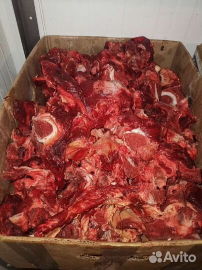 Мясо и кости для собак