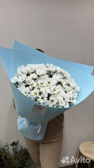 Ромашки букет гигант Казань