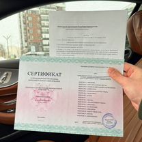 Пассивный доход на видеороликах, Заветы Ильича