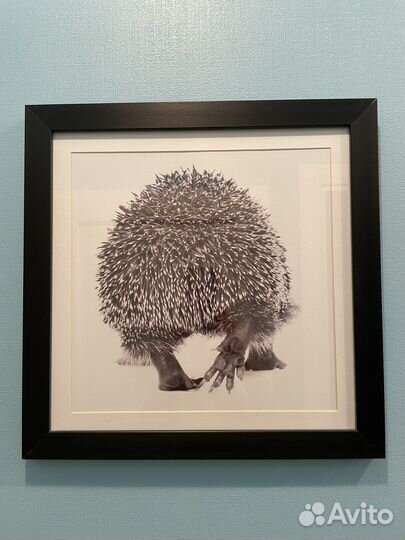 Картина Ёжик