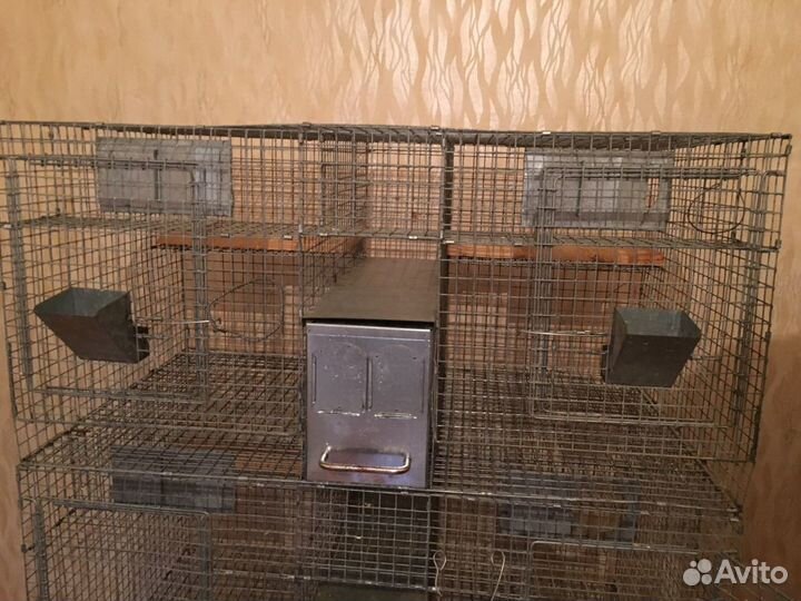 Клетка для шиншиллы