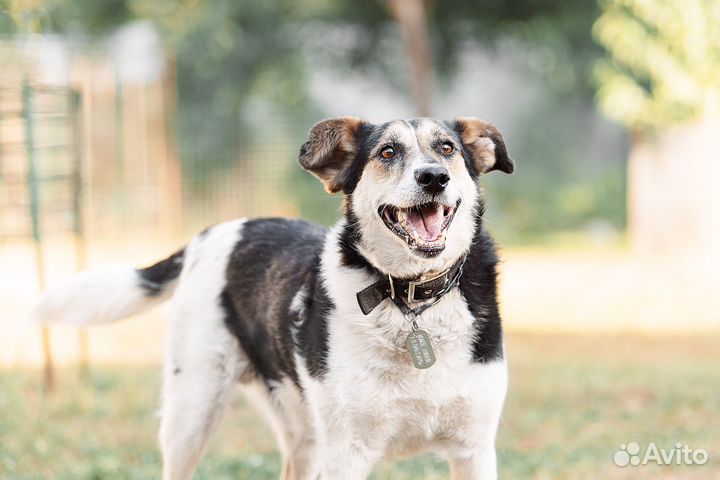 Ждут семью. Одну на двоих