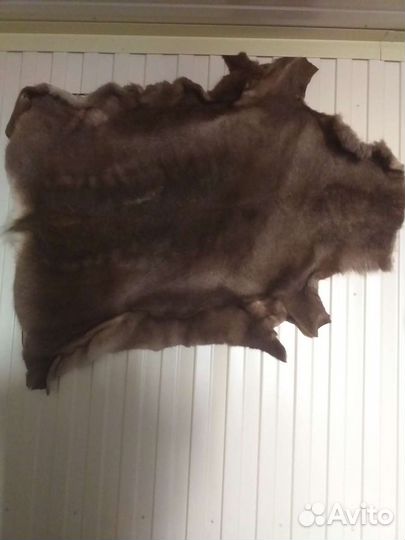 Шкура оленя