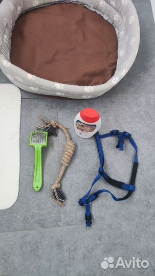 Набор для щенка