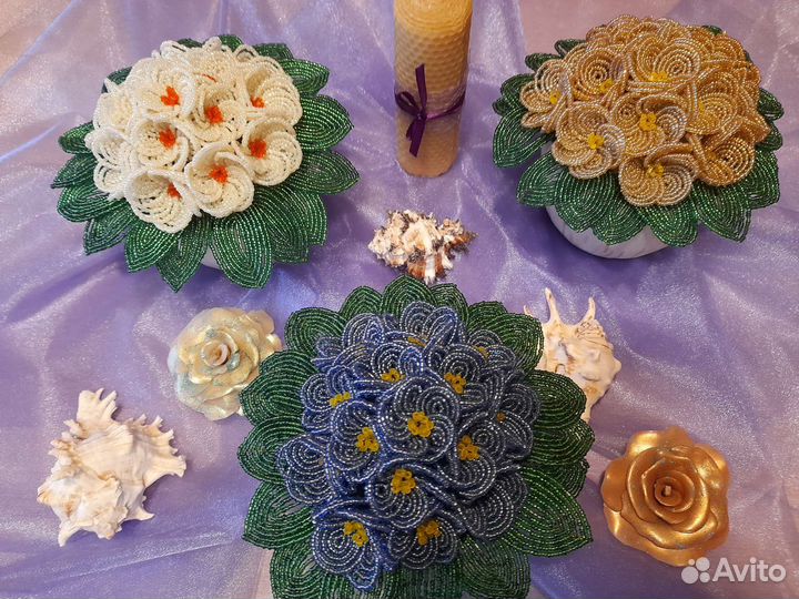 Милые фиалочки