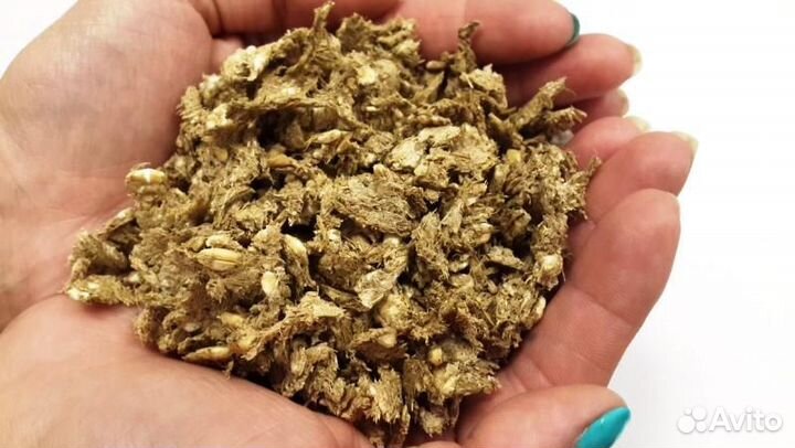 Экструдированное зерно(зерносмесь)