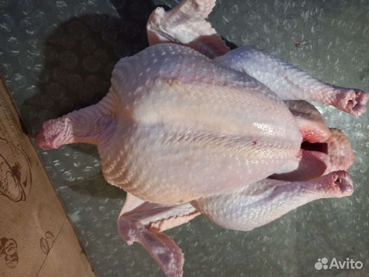 Мясо индейки