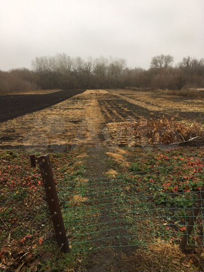 Дом 64 м² на участке 25 сот.