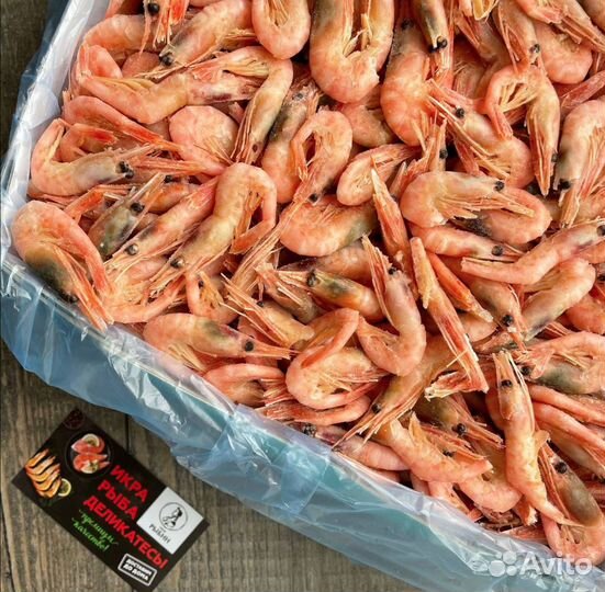 Креветка северная 250+