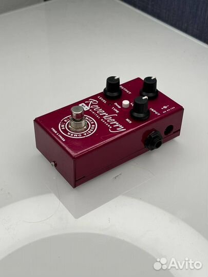 Amt Ry-1 Reverb Russia Продажа/Обмен