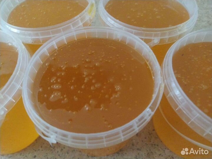 Мед свежий 2023