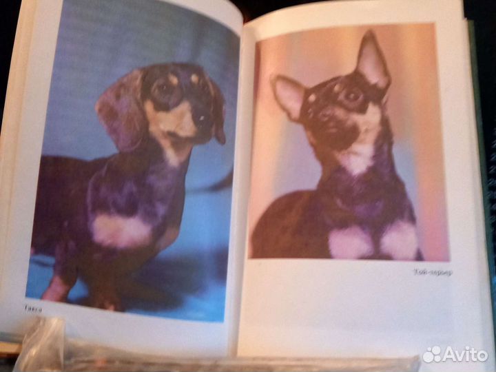 Книга Собаковода-любителя.Домик для собак и кошек