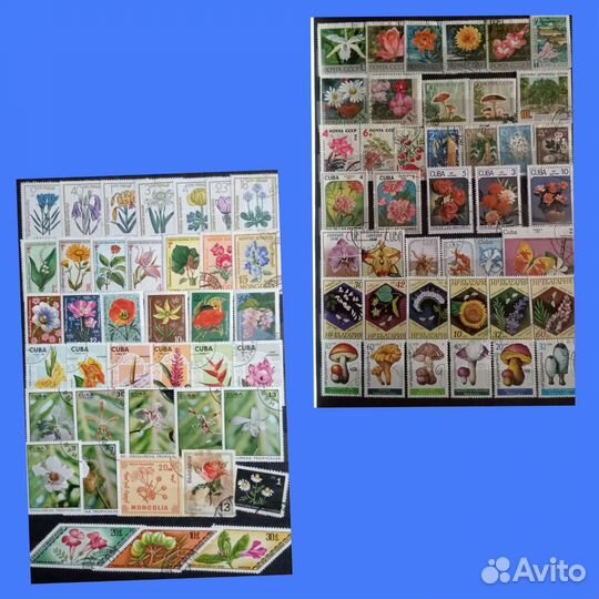 Почтовые марки